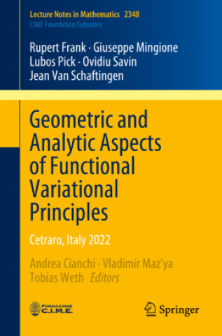 Knjiga Geometric and Analytic Aspects of Functional Variational Principles Rupert Frank