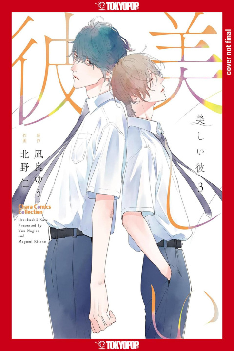 Книга My Beautiful Man, Volume 3 (Manga) Megumi Kitano