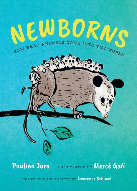 Libro Newborns Merc? Galí