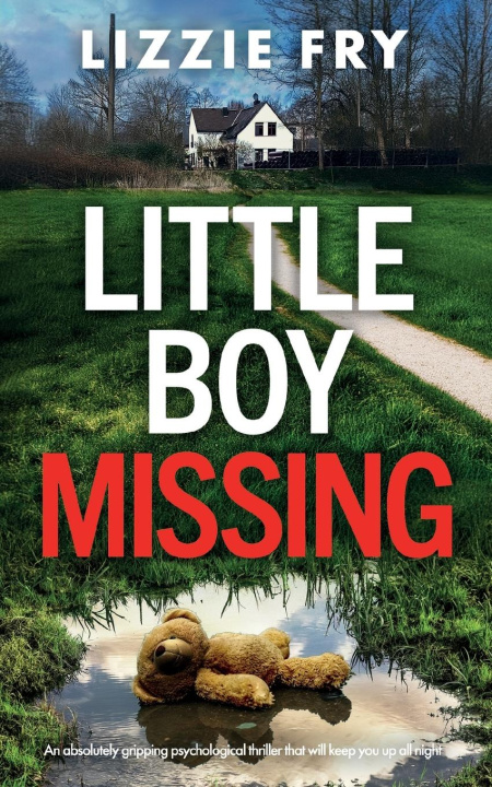 Book Little Boy Missing Lizzie Fry