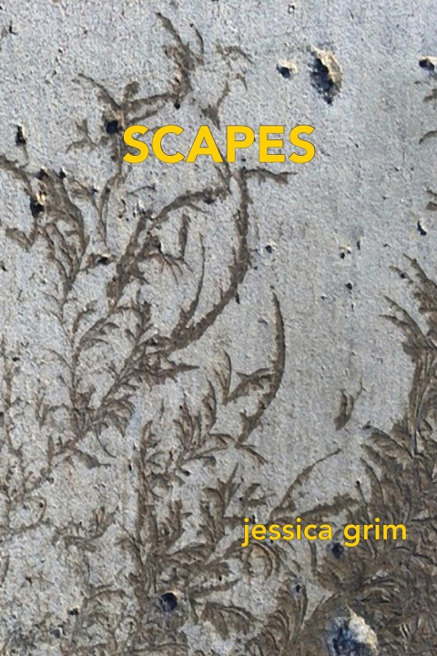 Knjiga Scapes Jessica Grim