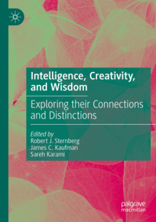 Knjiga Intelligence, Creativity, and Wisdom Sareh Karami