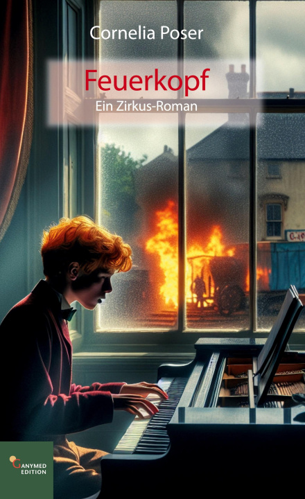 Knjiga Feuerkopf 