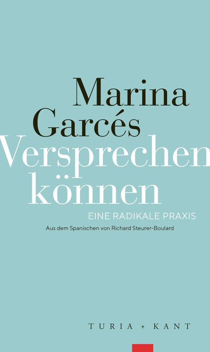 Knjiga Versprechen können Richard Steurer-Boulard Boulard