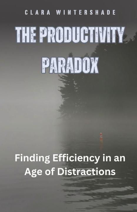 Buch The Productivity Paradox Clara Wintershade