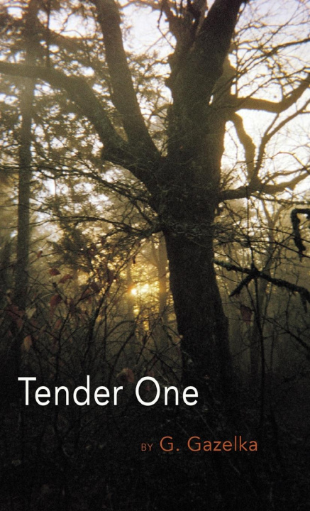 Knjiga Tender One G. Gazelka