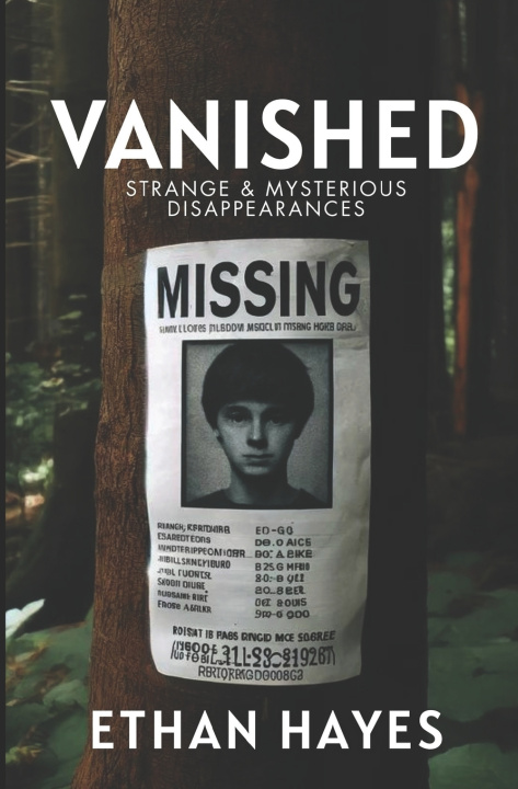 Buch Vanished Ethan Hayes