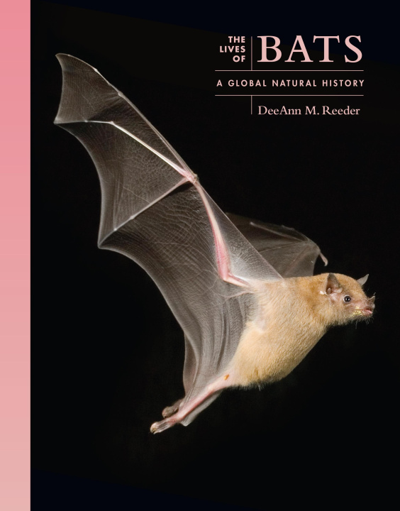Kniha The Lives of Bats DeeAnn M. (Professor of Biology) Reeder