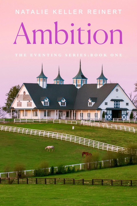 Boek Ambition Reinert