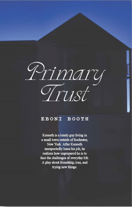 Knjiga Primary Trust Eboni Booth