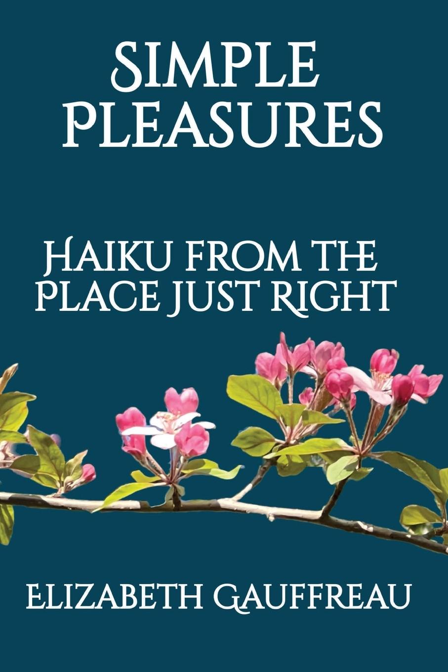 Knjiga Simple Pleasures Elizabeth Gauffreau