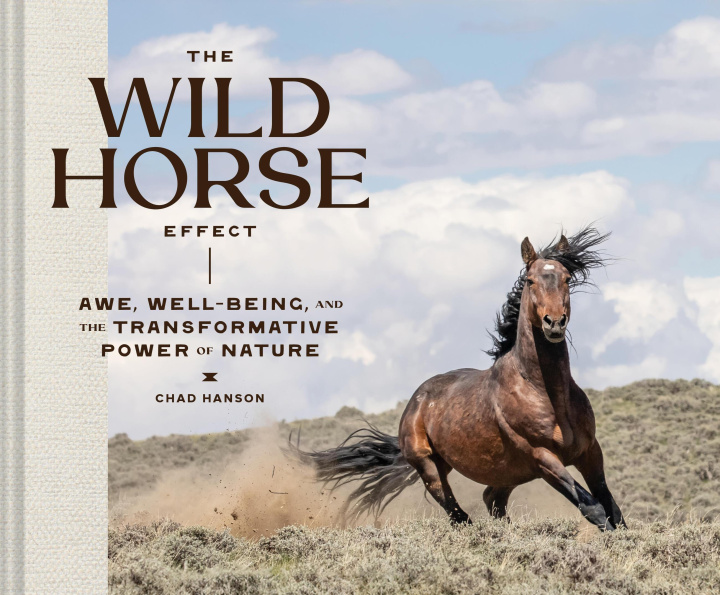 Libro The Wild Horse Effect Hanson