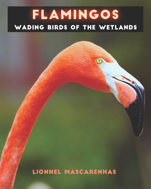 Boek Flamingos Lionnel Mascarenhas