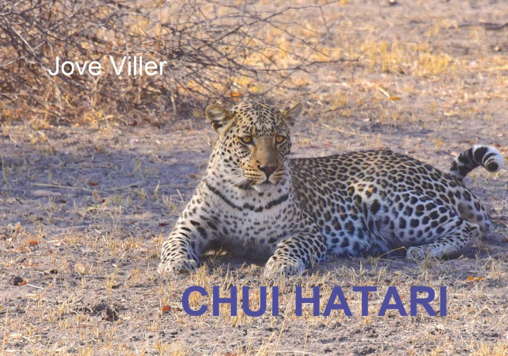 Knjiga CHUI HATARI Jove Viller