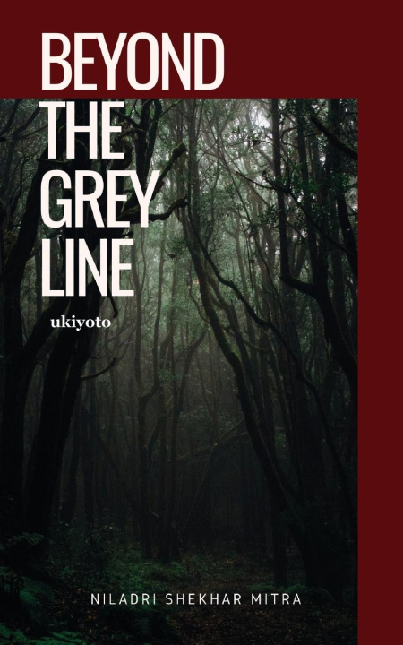 Knjiga Beyond The Grey Line Niladri Shekhar Mitra