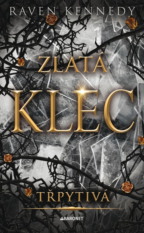 Libro Třpytivá Raven Kennedy