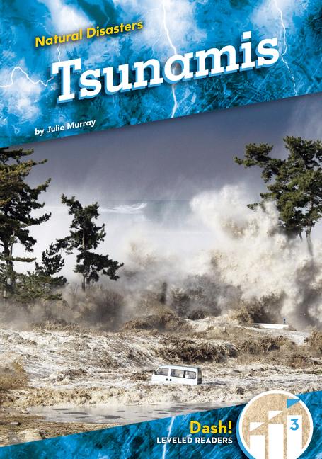 Knjiga Tsunamis 