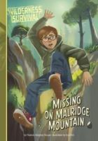 Knjiga Missing on Malridge Mountain Syd Fini