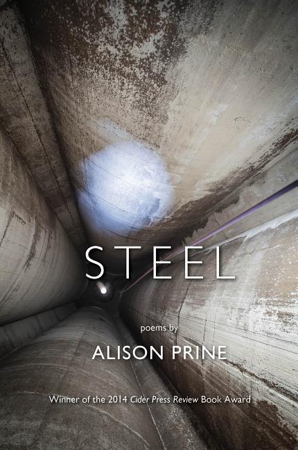 Knjiga Steel 