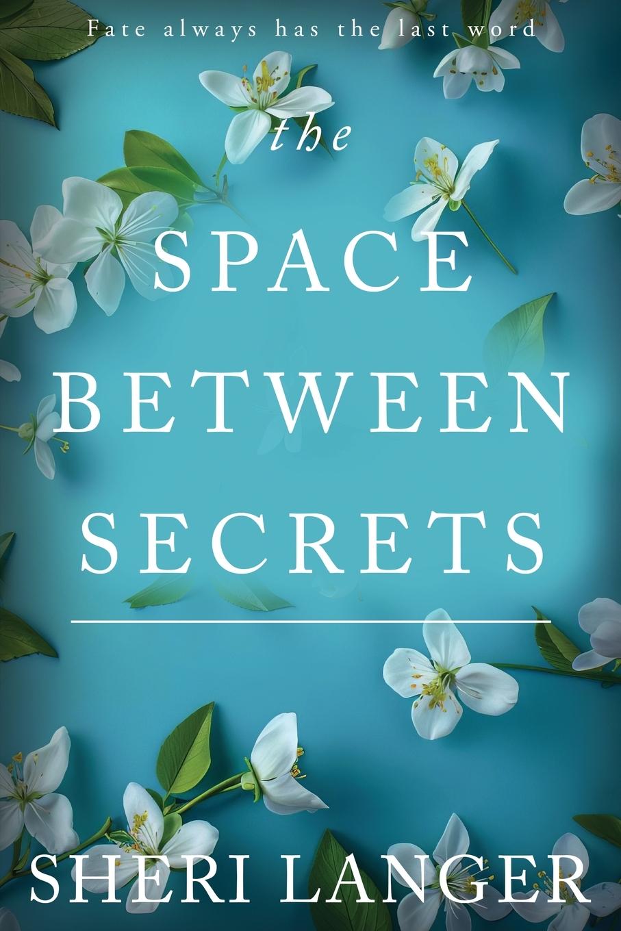 Knjiga The Space between Secrets Sheri Langer