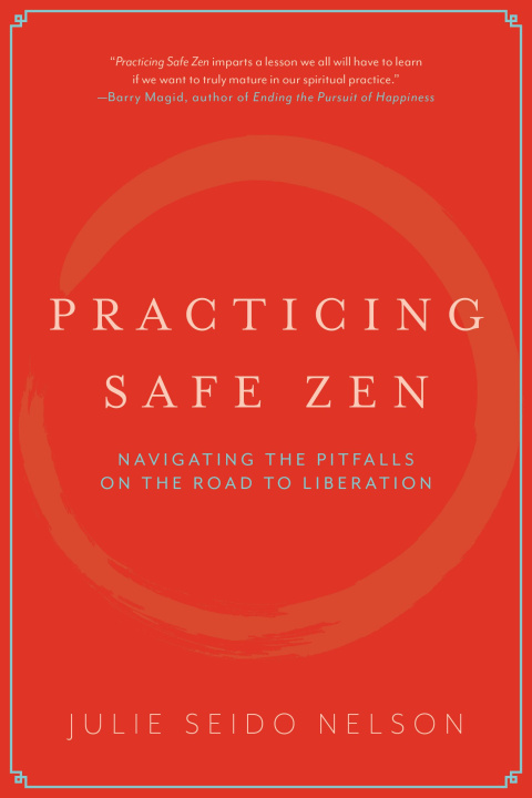 Knjiga Practicing Safe Zen Julie Seido Nelson