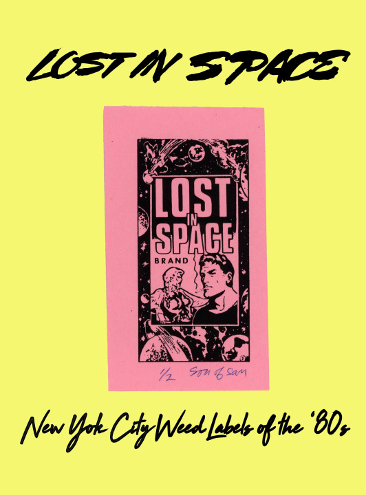 Knjiga Lost in Space Jacaeber Kastor
