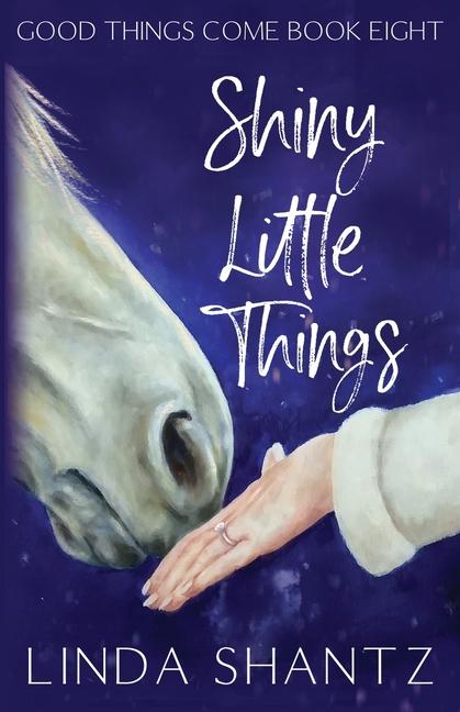 Knjiga Shiny Little Things Linda Shantz