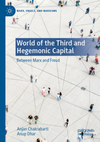 Boek World of the Third and Hegemonic Capital Anjan Chakrabarti