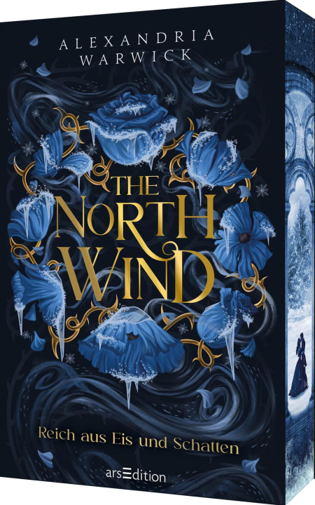 Kniha The North Wind - Reich aus Eis und Schatten (The Four Winds 1) Anne-Marie Wachs