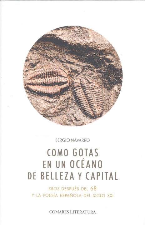Kniha COMO GOTAS EN UN OCÉANO DE BELLEZA Y CAPITAL Sergio Navarro
