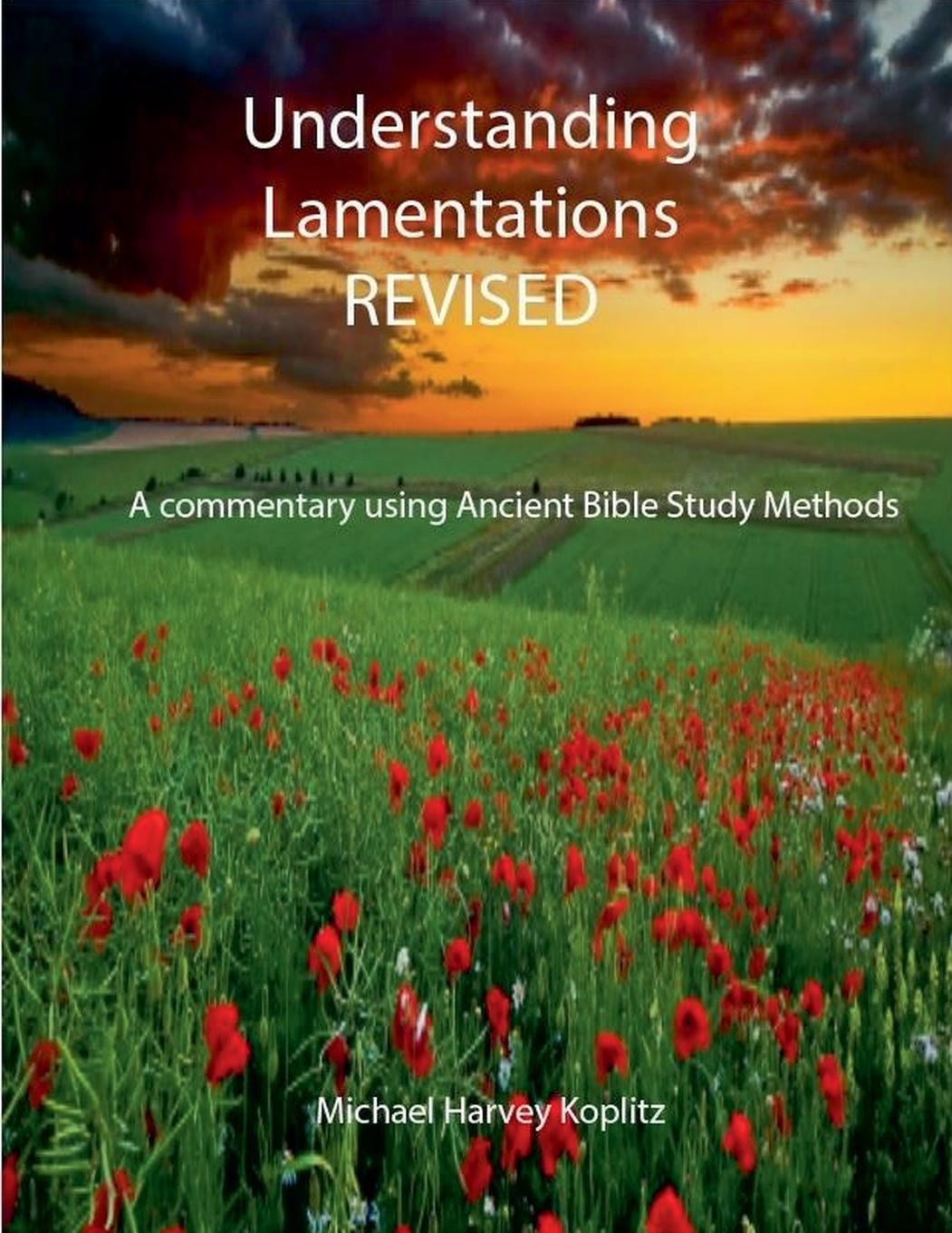 Kniha UNDERSTANDING LAMENTATIONS - REVISED Michael Koplitz