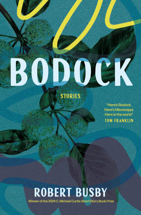 Kniha Bodock: Stories Robert Busby