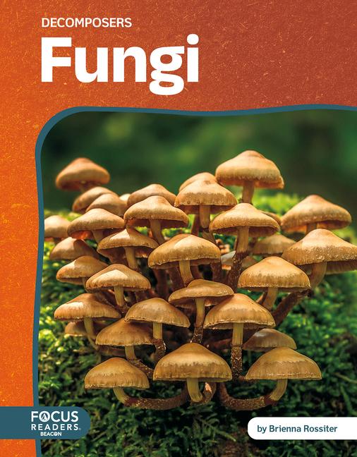 Книга Fungi Brienna Rossiter