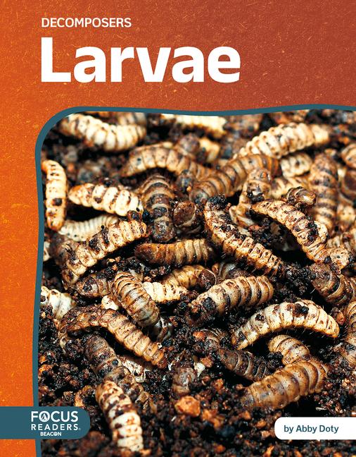 Book Larvae Abby Doty