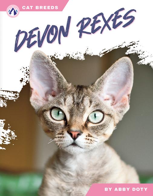 Książka Devon Rexes Abby Doty