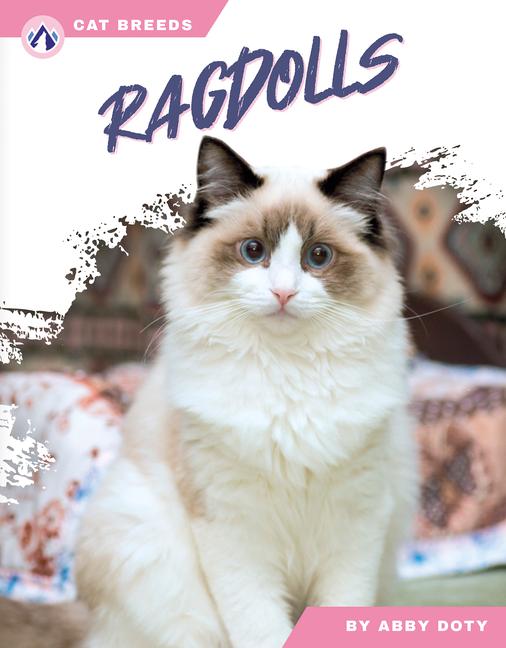 Knjiga Ragdolls Abby Doty