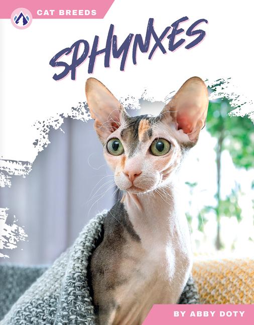 Kniha Sphynxes Abby Doty