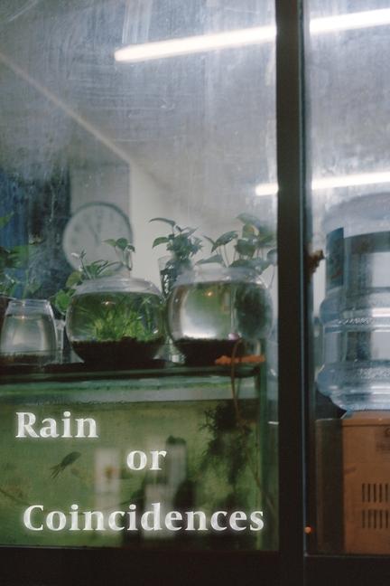 Book Rain or Coincidences Xinyu Liu