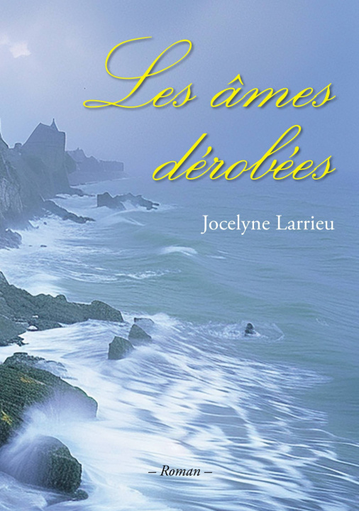 Kniha Les âmes dérobées LARRIEU