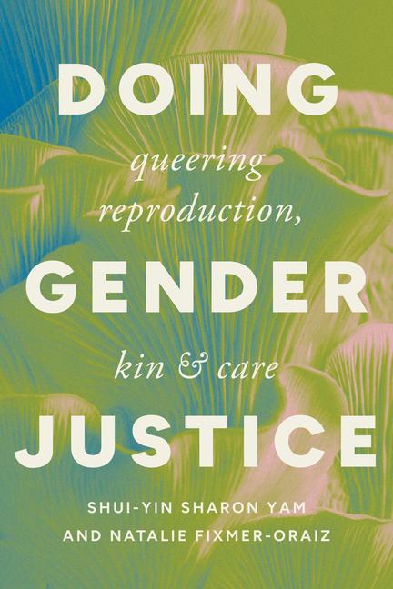 Buch Doing Gender Justice Shui-Yin Sharon Yam