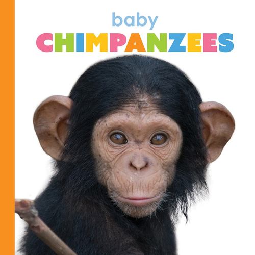 Knjiga Baby Chimpanzees Greve