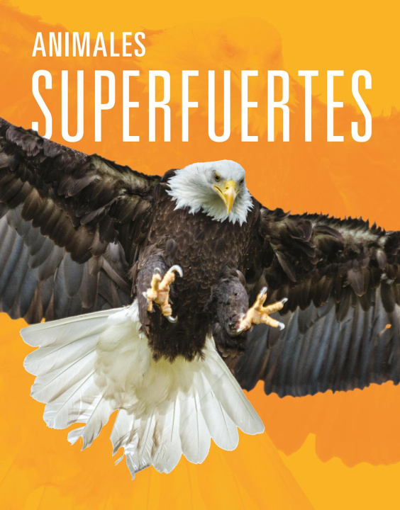 Książka Animales Superfuertes Mattern