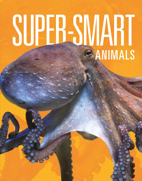Knjiga Super-Smart Animals Mattern