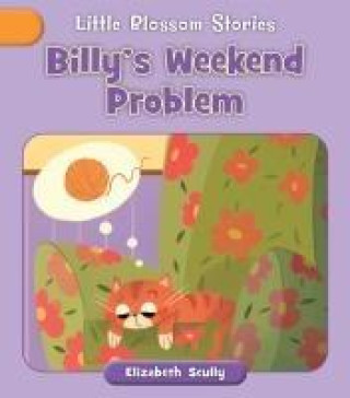 Knjiga Billy's Weekend Problem Andreana Boatta