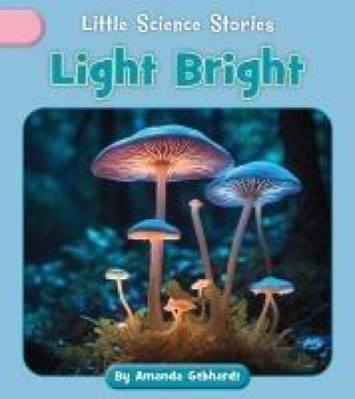 Knjiga Light Bright 