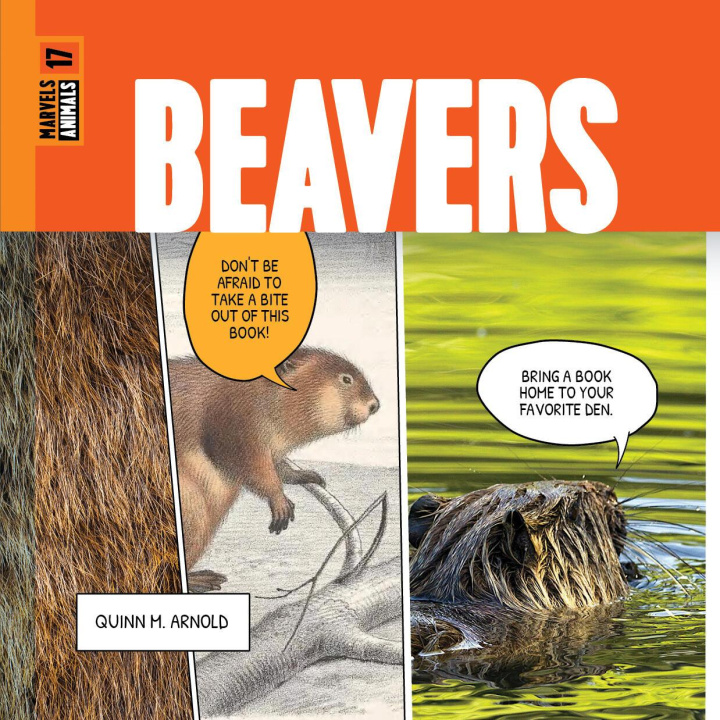 Buch Beavers Arnold