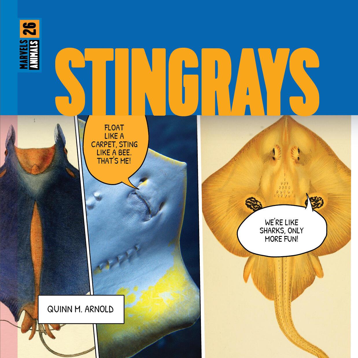Knjiga Stingrays Arnold