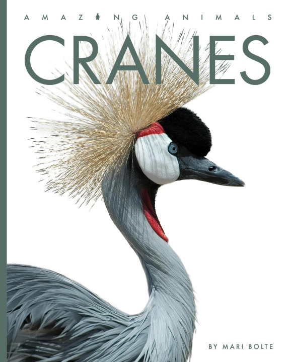 Knjiga Cranes Bolte