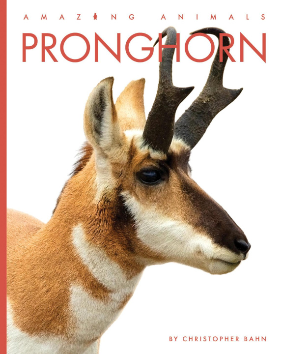 Carte Pronghorn Bahn