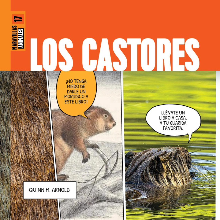 Libro Los Castores Arnold